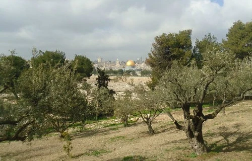 A view of Jerusalem from the Mount of Olives. Credit: Marianne Medlin/CNA.