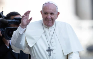 Pope Francis greets pilgrims in St. Peter's Square Nov. 6, 2019.   Daniel Ibanez/CNA