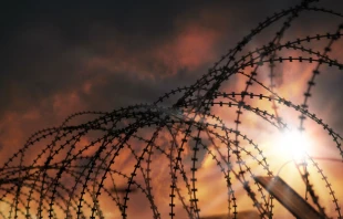 Barbed wire.   Benjamin Haas via www.shutterstock.com.