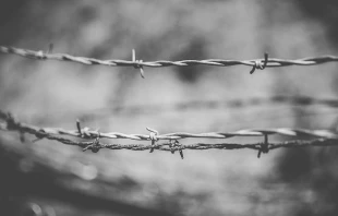 Barbed wire.   Dennis Diatel via www.shutterstock.com.