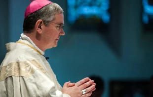 Bishop Mark O’Toole of Plymouth, England. Mazur/catholicnews.org.uk