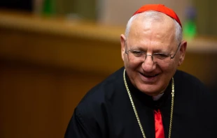 Cardinal Louis Raphael I Sako, Chaldean Catholic Patriarch of Babylon and the Head of the Chaldean Catholic Church.   Daniel Ibáñez/CNA