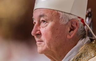 Cardinal Vincent Nichols, the Archdiocese of Westminster. Credit: Daniel Ibáñez/CNA