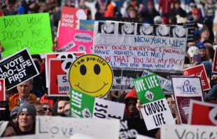 Crowds at the 2020 March for Life.   Peter Zelasko/CNA