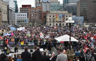 The 2019 Canadian March for Life in Ottawa, May 9.   Christine Rousselle/CNA