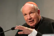 Cardinal Christoph Schomborn 2 at press conference on post synodal apostolic exhortation Amoris Laetitia in Vatican City on April 8 2016 Credit Daniel Ibanez CNA 4 8 16