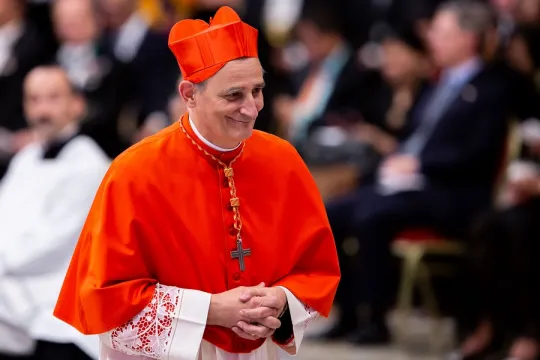 Pope expands ranks of cardinals who'll likely pick successor