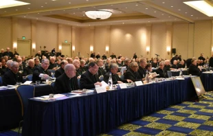 Bishops gather in Baltimore for the USCCB 2019 Fall General Assembly.   Christine Rousselle/CNA.