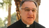 Father Thomas Rosica, CSB.