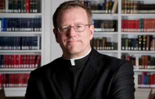 Fr. Robert Barron. 