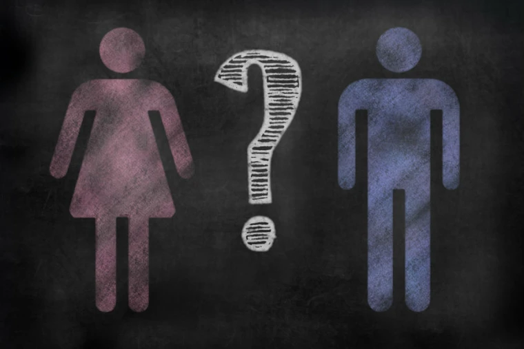 Sexual orientation and gender identity: what does the ...