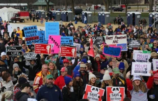 Crowds at the 2020 March for Life.   Peter Zelasko/CNA