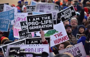 Participants at the 2019 March for Life in Washington, DC.   Christine Rousselle/CNA