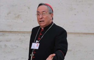 Cardinal Oscar Andrés Rodríguez Maradiaga.  