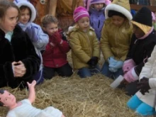 Children praying in front of the Chicago Nativity Scene / Photo 