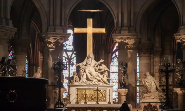 Tin vui cho Giáo Hội Pháp liên quan đến Notre Dame de Paris, Giáo phận Versailles