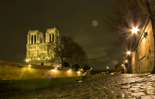 Notre-Dame de Paris. D.Bond/Shutterstock.