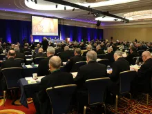 Bishops at the USCCB General Assembly in Baltimore, June 2019. 