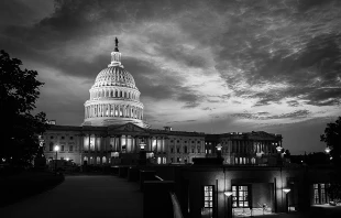 The United States capitol building.   Orhan Cam via Shutterstock.