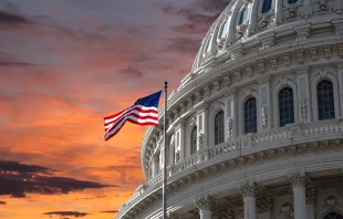 US Capitol.   trekandshoot / Shutterstock.