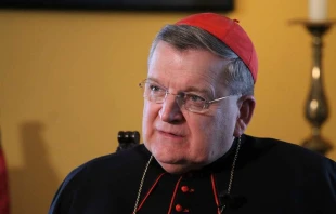 Cardinal Raymond Burke. CNA file photo. null