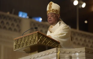 Archbishop Wilton Gregory of Atlanta.   Georgia Bulletin/Michael Alexander.