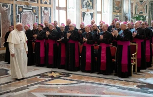 Pope Francis meets apostolic nuncios in the Vatican's Clementine Hall, June 13, 2019.   Vatican Media / ACI Group