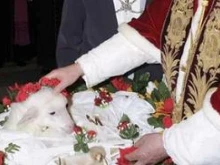 Pope Benedict XVI blesses the lambs for the Feast of St. Agnes