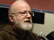 Cardinal Sean O'Malley 