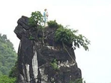 The statue of Our Lady of Lavang which is set to be bulldozed