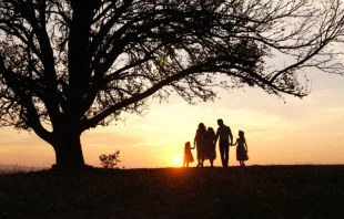 Family at sunset, Stock image via Shutterstock. 