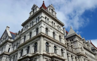 New York state capitol, Albany.   Nina Alizada / Shutterstock