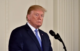 President Donald Trump at the White House, 2018.   Evan El-Amin/Shutterstock