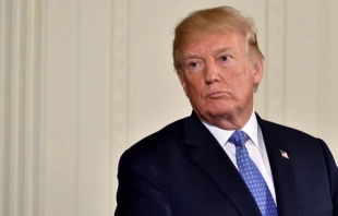 President Donald Trump during a White house press briefing, 2018.   Evan El-Amin/Shutterstock