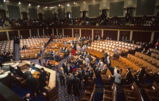 House of Representatives. mark reinstein/Shutterstock