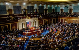 US House of Representatives.   Mark Reinstein/Shutterstock