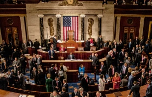 Members and guests on the floor of the House during a joint session of Congress.   mark reinstein / Shutterstock