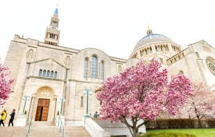 Basilica of National Shrine of Immaculate Conception.   Andriy Blokhin/Shutterstock