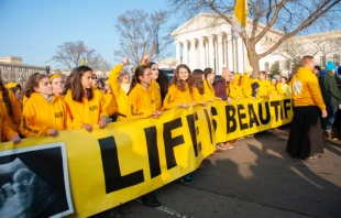 March for Life in Washington, DC on January 18, 2019.   Rena Schild / Shutterstock