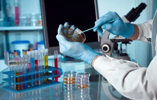 A scientist holding a petri dish in the lab.   angellodeco/Shutterstock