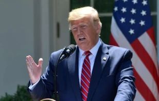 President Donald Trump at a White House press conference, 2019.   Evan El-Amin/Shutterstock