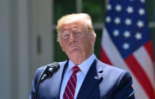 President Donald Trump during a press conference in the Rose Garden of the White House.   Shutterstock 