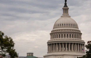 United States Capitol Building - Washington DC. Via Shutterstock 