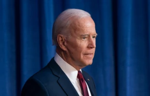 Former vice president Joe Biden.   lev radin/Shutterstock