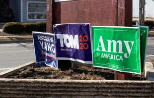 Campaign signs ahead of the Feb. 3, 2020, Iowa caucus.   Kevin McGovern/Shutterstock