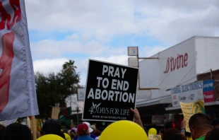 40 Days for Life participants in McAllen, Texas, February 8, 2020.   panch0/Shutterstock