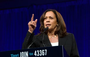 Kamala Harris speaking at the Democratic National Convention, Aug. 2019.   Sheila Fitzgerald/Shutterstock