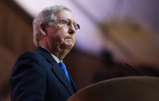 Senator Mitch McConnell (R-KY) speaks at the Conservative Political Action Conference, 2014.   Christopher Halloran/Shutterstock