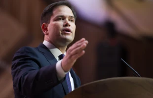 Sen. Marco Rubio addresses the Conservative Political Action Conference in 2014.   Christopher Halloran / Shutterstock