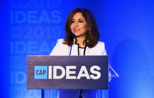 Neera Tanden, Joe Biden's nominee for director of the Office of Management and Budget.   vasilis asvestas/Shutterstock.